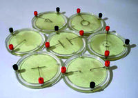 Демонстрационный комплект «Силовые линии электрического поля разных систем зарядов» - fgospostavki.ru - Самара