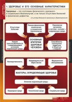 Комплект таблиц. ОБЖ. Здоровый образ жизни. - fgospostavki.ru - Самара