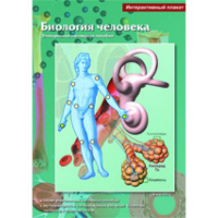 Интерактивные плакаты. Биология человека. Программно-методический комплекс - fgospostavki.ru - Самара