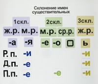 Набор магнитных карточек "Склонение имен существительных" - fgospostavki.ru - Самара