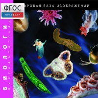 Биология. Микрофотографии. (Цифровая база изображений) - fgospostavki.ru - Самара