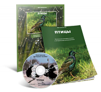 Электронное наглядное пособие «Птицы» - fgospostavki.ru - Самара