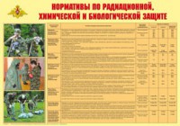 Плакат "Нормативы по радиационной, химической и биологической защите" - fgospostavki.ru - Самара