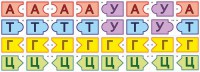 Модель-аппликация Удвоение ДНК и транскрипция РНК - fgospostavki.ru - Самара