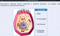 Интерактивные курсы. Биология 8 класс. Базовый - fgospostavki.ru - Самара