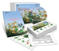 Комбинированное наглядное пособие «Растения» - fgospostavki.ru - Самара