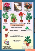 Комплект таблиц. Окружающий мир 1 класс. - fgospostavki.ru - Самара