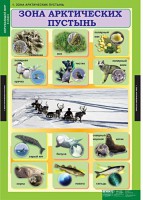 Комплект таблиц. Окружающий мир 4 класс. - fgospostavki.ru - Самара