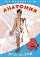 DVD "Анатомия для детей" - fgospostavki.ru - Самара