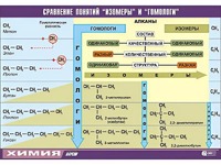 Таблица демонстрационная "Сравнение понятий изомер и гомолог" (винил 70x100) - fgospostavki.ru - Самара
