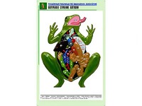 Рельефная таблица "Внутреннее строение лягушки" (формат А1, матовое ламинирование) - fgospostavki.ru - Самара