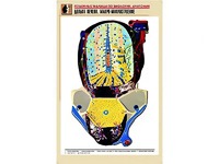 Рельефная таблица "Долька печени. Макро-микростроение" (формат А1, матовое ламинирование) - fgospostavki.ru - Самара