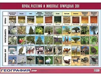 Таблица демонстрационная "Почвы, растения и животные природных зон" (винил 70*100) - fgospostavki.ru - Самара