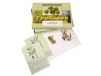 Гербарий "Для начальной школы" (30 видов, с иллюстрациями) - fgospostavki.ru - Самара