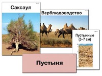 Модель-аппликация "Природные зоны России" (ламинированная) - fgospostavki.ru - Самара