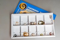 Коллекция "Раковины моллюсков" - fgospostavki.ru - Самара