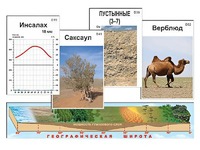Модель-аппликация "Природные зоны" - fgospostavki.ru - Самара
