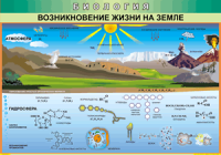 Таблица "Возникновение жизни на земле" (100х140 сантиметров, винил) - fgospostavki.ru - Самара
