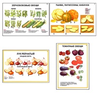Плакаты ПРОФТЕХ "Ассортимент овощных культур" (12 пл, винил, 70х100) - fgospostavki.ru - Самара