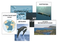 Модель-аппликация "Океаны. Знакомство" (ламинированная) - fgospostavki.ru - Самара