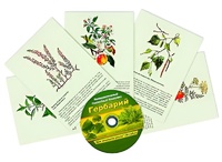 Интерактивный наглядный комплекс "Гербарий "Для начальной школы" - fgospostavki.ru - Самара
