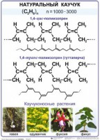 Комплект демонстрационных таблиц по химии "Полимеры" (комплект 12 таблиц) - fgospostavki.ru - Самара