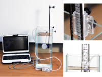 Набор демонстрационный «Гидростатика и плавание тел» - fgospostavki.ru - Самара