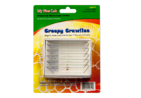 Набор микропрепаратов для микроскопа №2 «Насекомые» - fgospostavki.ru - Самара