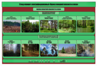 Стенд-планшет электрифицированный «Оценка пожарной опасности в лесах»  - fgospostavki.ru - Самара