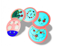 Тактильно-развивающая панель «Гусеница» - fgospostavki.ru - Самара