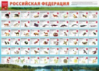 Стенд "Красная книга РФ" - fgospostavki.ru - Самара