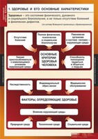 Комплект таблиц. ОБЖ. Здоровый образ жизни. - fgospostavki.ru - Самара