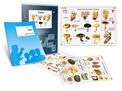 Комплект кодотранспарантов "Грибы" - fgospostavki.ru - Самара
