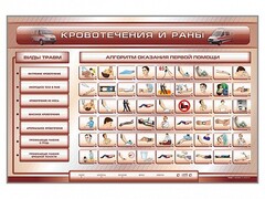 Трехсекционный базовый комплект "Травмы. Кровотечения. Ожоги" для учащихся общеобразовательных учреждений - fgospostavki.ru - Самара