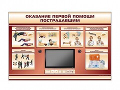 Многофункциональный интерактивный стенд-тренажер "Оказание первой помощи пострадавшим" для учащихся общеобразовательных учреждений - fgospostavki.ru - Самара