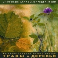 Растения средней полосы России "Травы и Деревья". (Цифровые атласы-определители) - fgospostavki.ru - Самара
