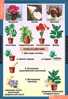 Комплект таблиц. Окружающий мир 1 класс. - fgospostavki.ru - Самара