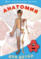 DVD "Анатомия для детей" - fgospostavki.ru - Самара