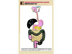 Рельефная таблица "Пищеварительный тракт" (формат А1, матовое ламинирование) - fgospostavki.ru - Самара