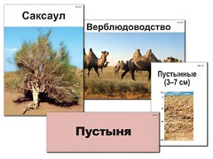 Модель-аппликация "Природные зоны России" (ламинированная) - fgospostavki.ru - Самара