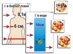 Модель-аппликация "Явление радиоактивности" (ламинированная) - fgospostavki.ru - Самара