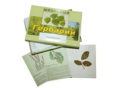 Гербарий "Дикорастущие растения" (30 видов, с иллюстрациями) - fgospostavki.ru - Самара