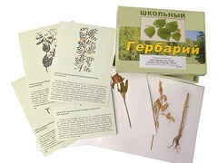 Гербарий "Систематика растений. Семейство Бобовые. Злаки" (раздаточный) - fgospostavki.ru - Самара