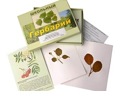 Гербарий "Систематика растений. Семейство Розоцветные" (раздаточный) - fgospostavki.ru - Самара