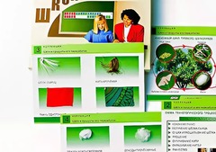Коллекция "Шелк и продукты его переработки" (средняя школа) - fgospostavki.ru - Самара