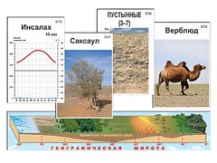 Модель-аппликация "Природные зоны" - fgospostavki.ru - Самара