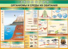 Таблица "Организмы и среды их обитания" (100х140 сантиметров, винил) - fgospostavki.ru - Самара