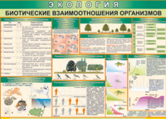 Таблица "Биотические взаимоотношения организмов" (100х140 сантиметров, винил) - fgospostavki.ru - Самара