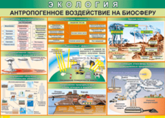 Таблица "Антропогенное воздействие на биосферу" (100х140 сантиметров, винил) - fgospostavki.ru - Самара