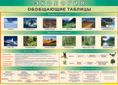 Таблица "Экология. Обобщающие таблицы" (100х140 сантиметров, винил) - fgospostavki.ru - Самара
